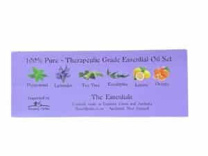 6 Essential Oils Cover