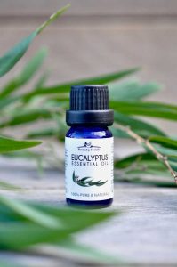 eucalyptus essential oil
