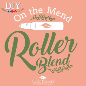 On-The-Mend-Roller-Blend